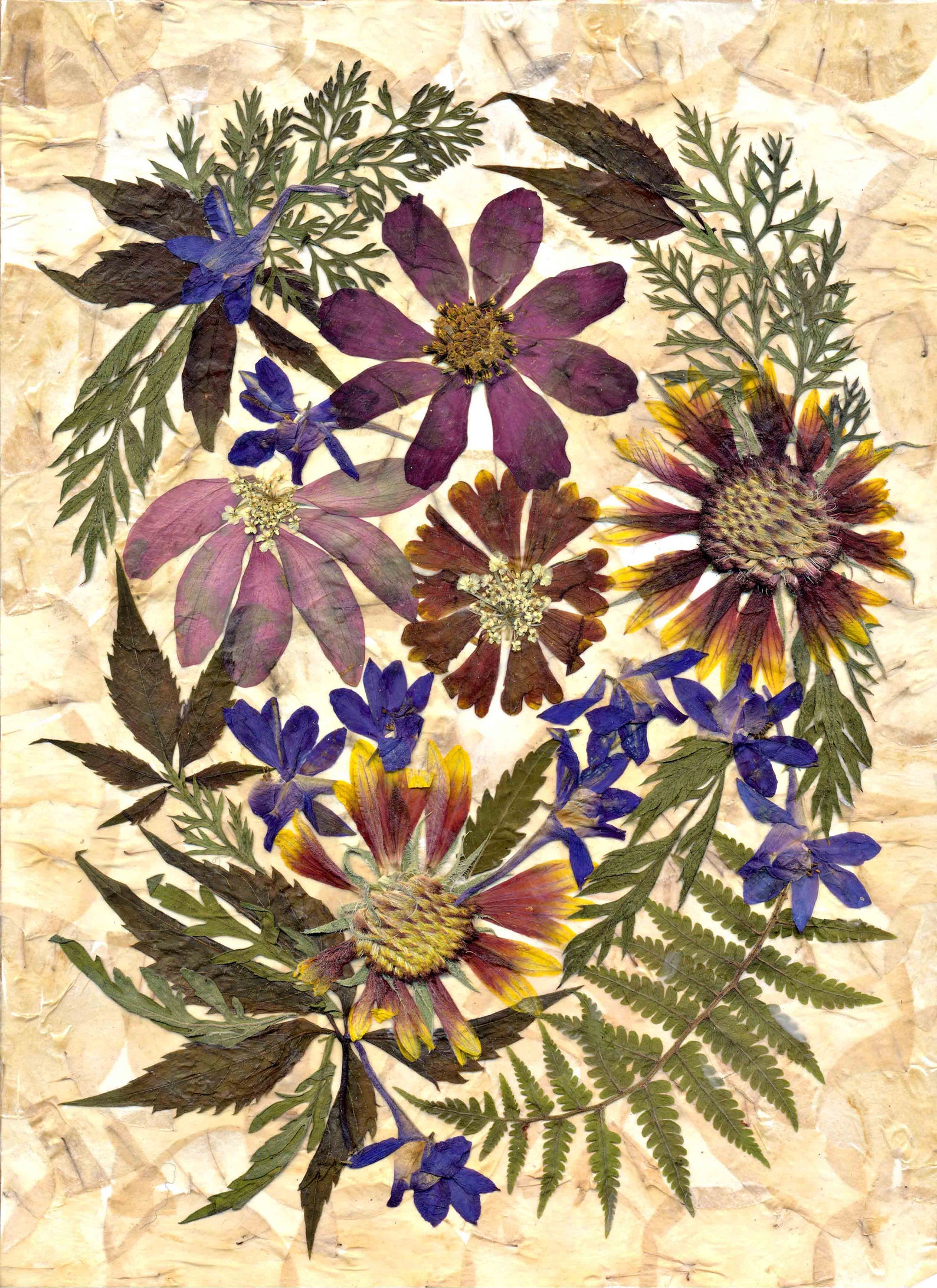 Pressed Wildflowers Dried Flowers Art Pressed Flowers Decor Etsy