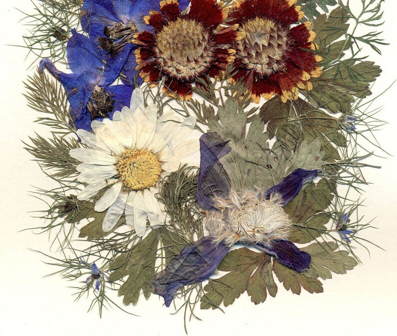 Dried Wildflowers Pressed Flower Art Botanical Framed Home Etsy