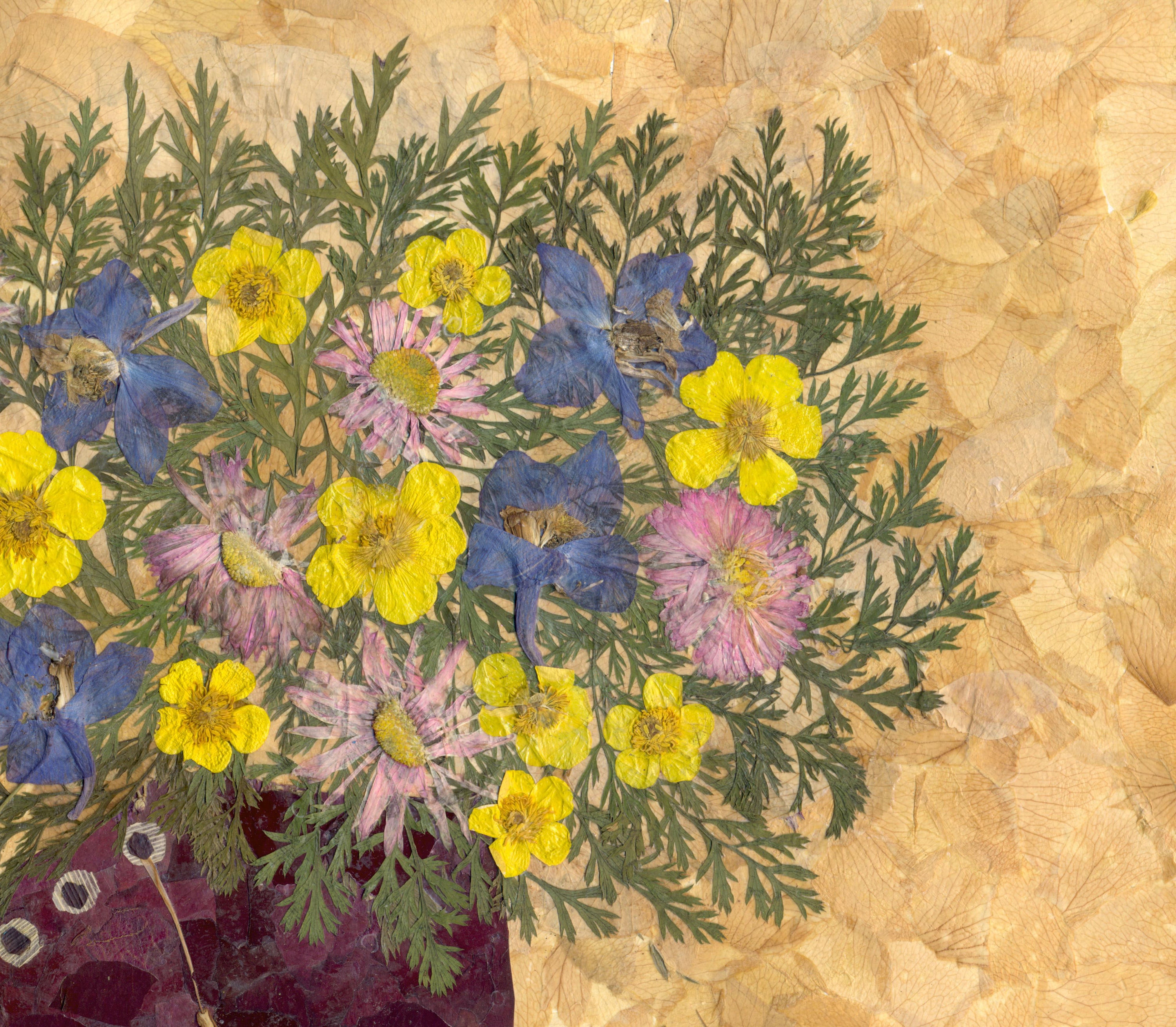 Dried Flower Art Pressed Flowers Art Dried Flowers Pressed Etsy