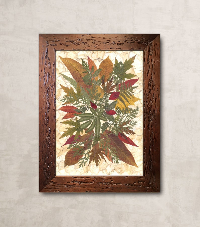 Dried Pressed Leaves and Herbs Dried Pressed Plants Framed | Etsy