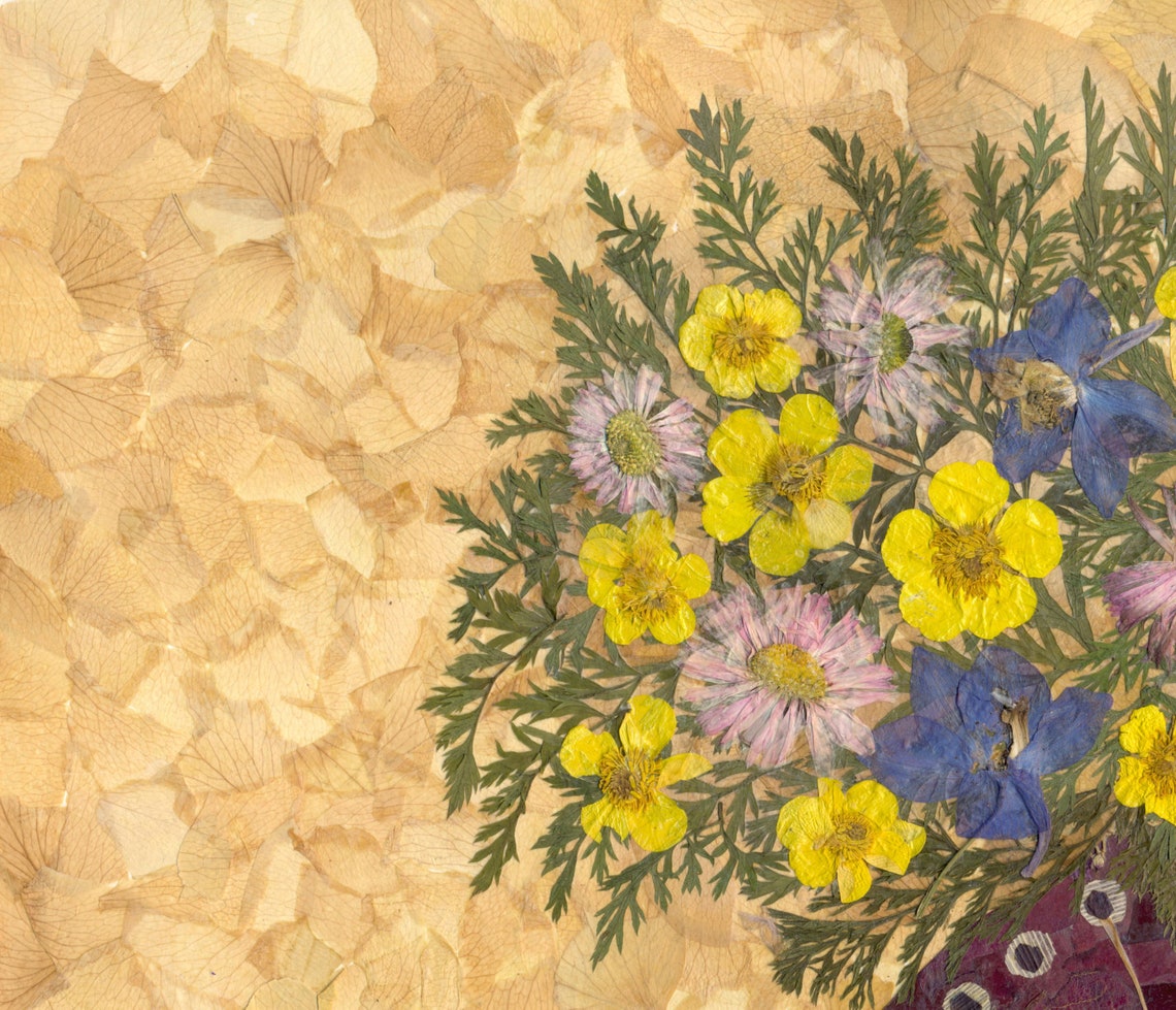 Dried Flower Art Pressed Flowers Art Dried Flowers Pressed Etsy