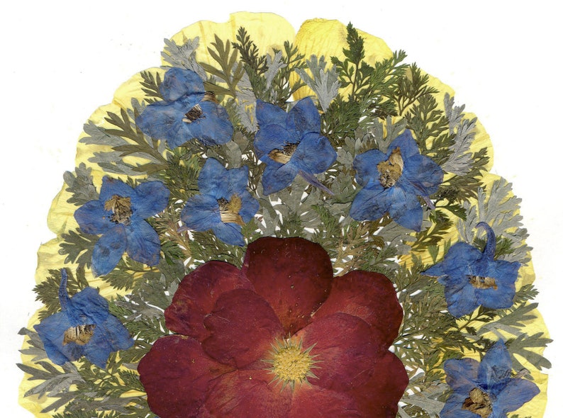 Pressed Rose Pressed Flowers Art Framed Dried Leaves Flower Etsy