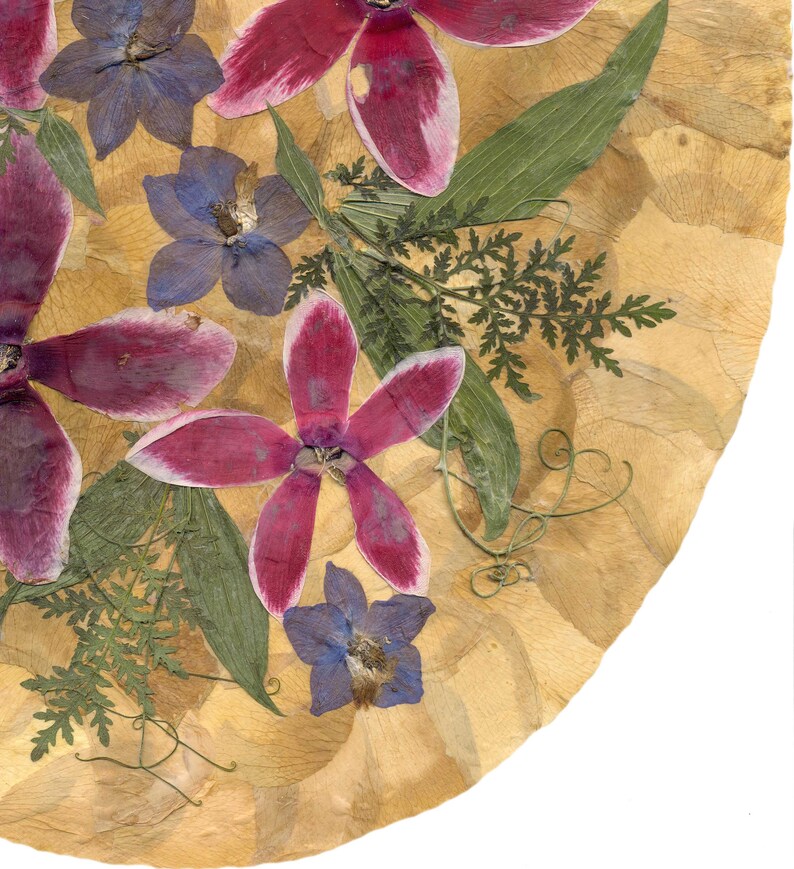 Dried Cyclamen Persicum Victorian Style Pressed Flowers Etsy