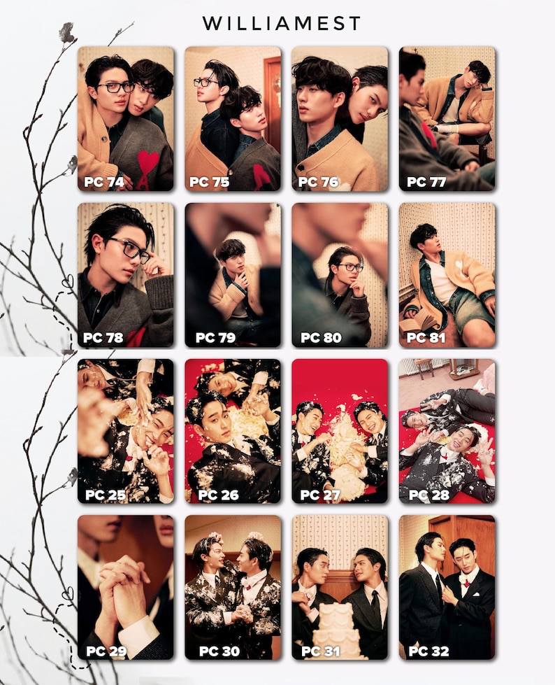 May include: A grid of photo cards featuring various poses of young men. The cards have a red or beige background. The text "WILLIAMEST" is at the top. Each card is labeled with a "PC" number.