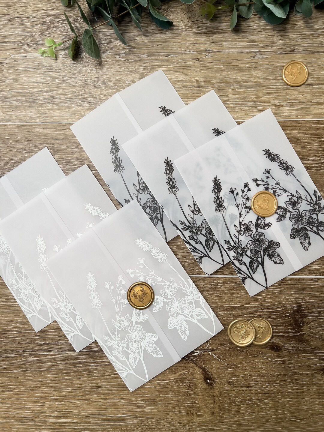 VELLUM Wedding Invitation Jacket, Modern Translucent Card Wrap, 5x7