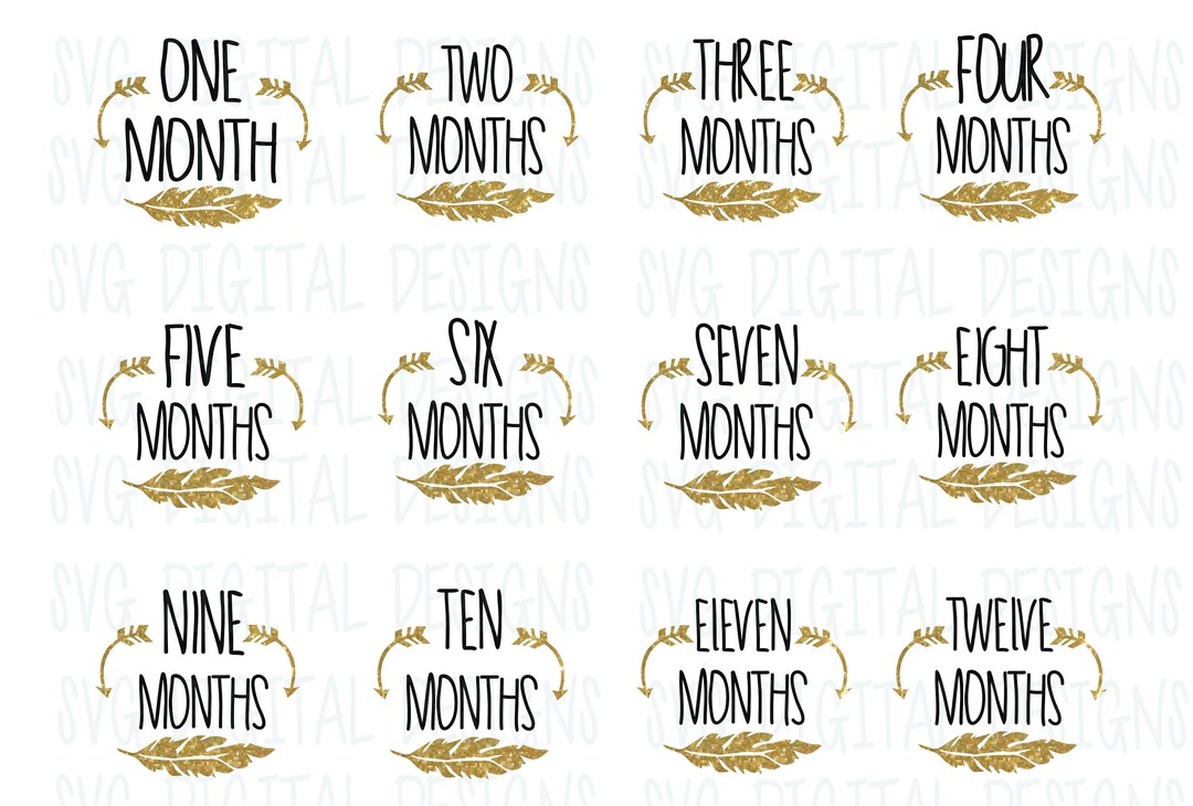 Baby Milestone Svg Cut Files, Baby Month Sticker Svg, Monthly SVG ...