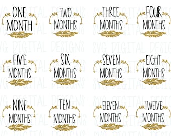 Baby Milestone Svg cut files, Baby Month Sticker svg, Monthly SVG Digital Design Cutting files
