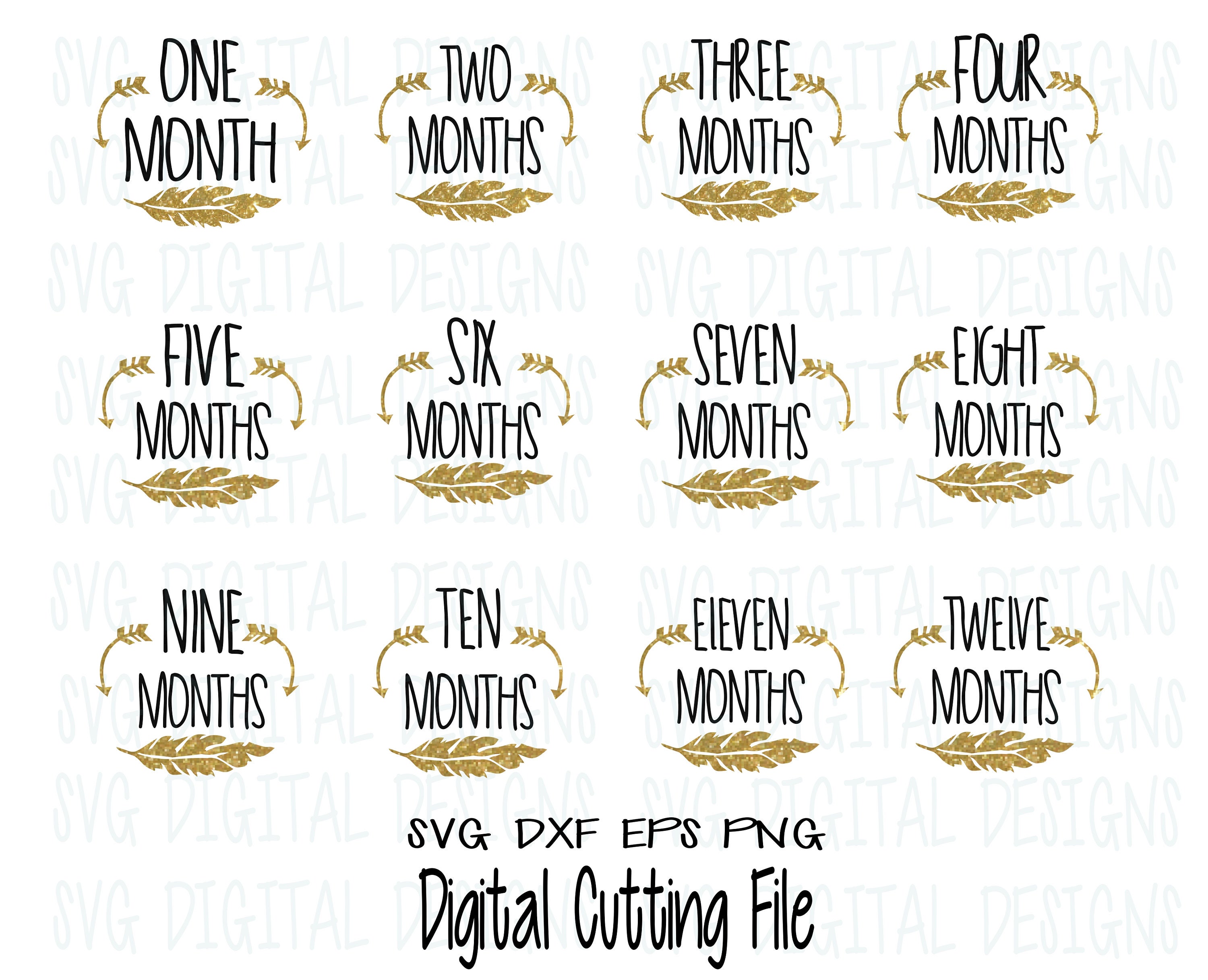 Free Free 71 Baby Monthly Milestone Svg SVG PNG EPS DXF File