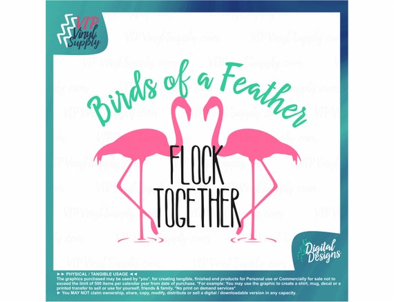 Download Birds Of A Feather Flock Together Svg Cut Files Flamingo Etsy