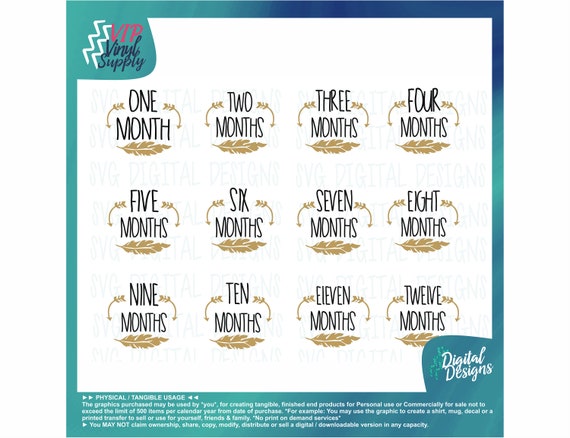 Download Baby Milestone Svg Cut Files Baby Month Sticker Svg Monthly Etsy