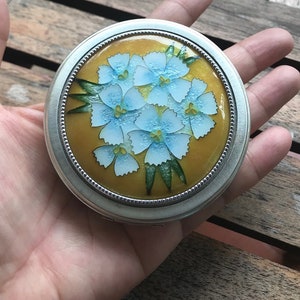 Powder Compact Dianthus flower