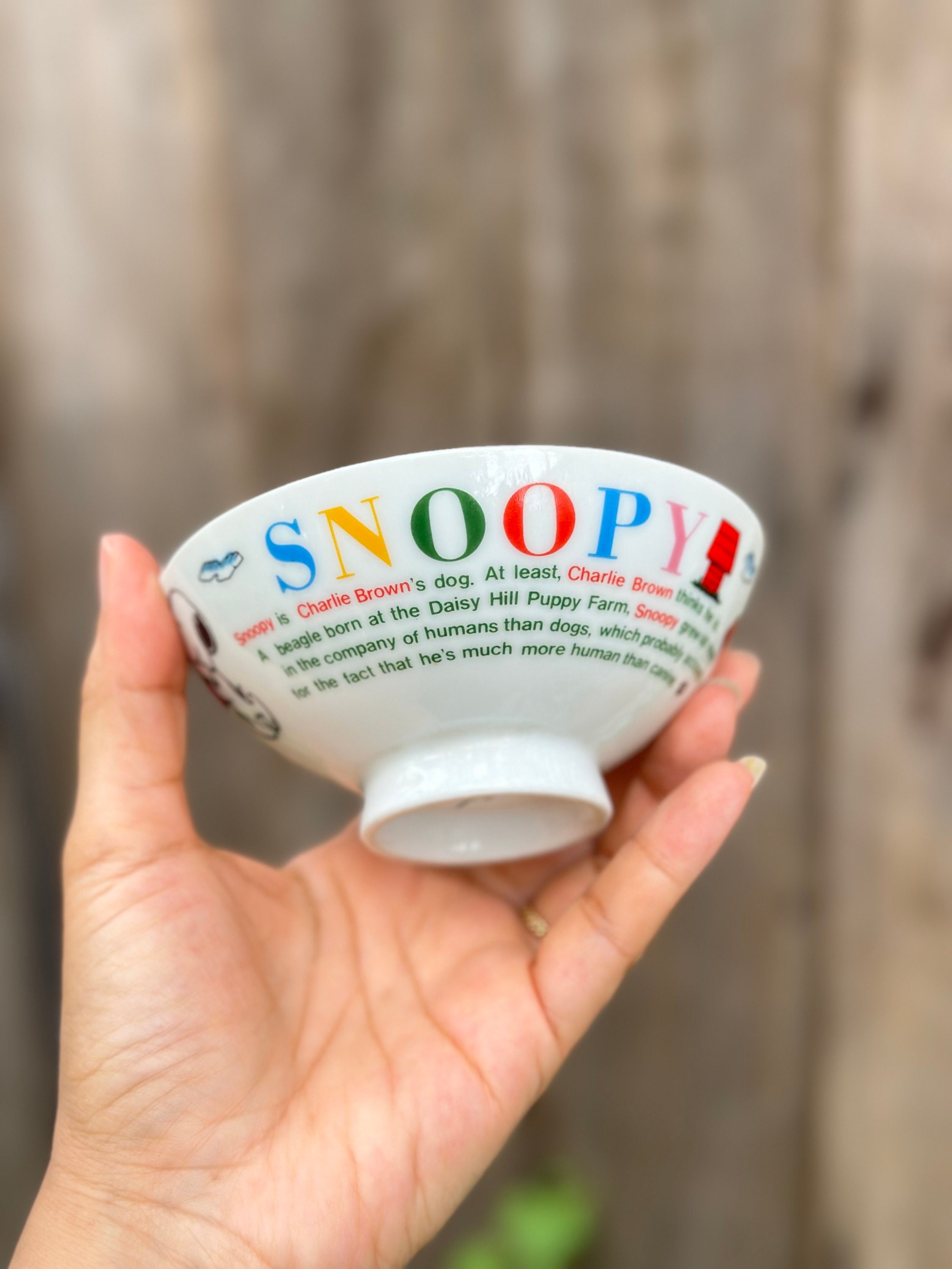 Vintage Snoopy Japanese Rice Bowl - Etsy