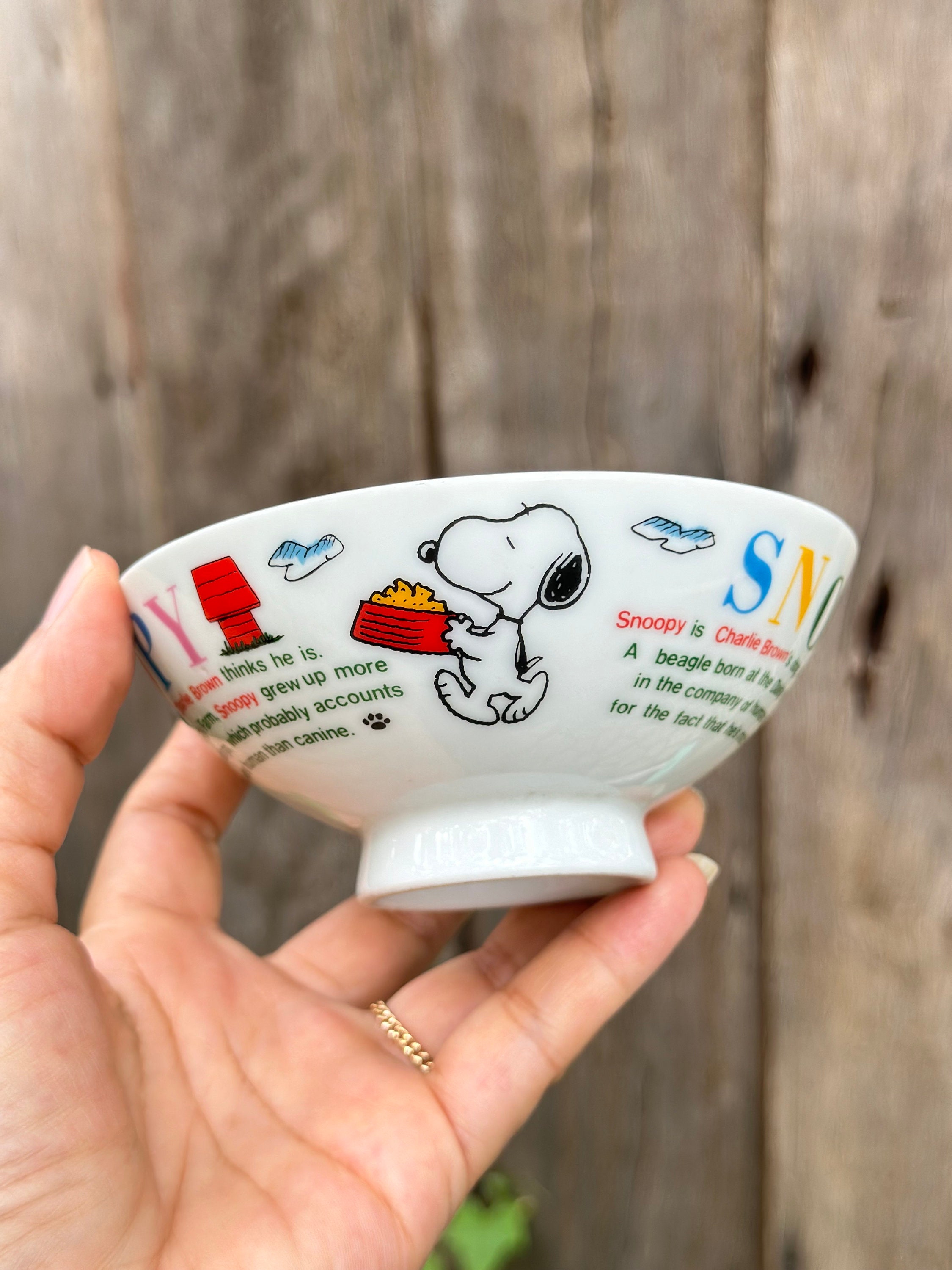Vintage Snoopy Japanese Rice Bowl - Etsy