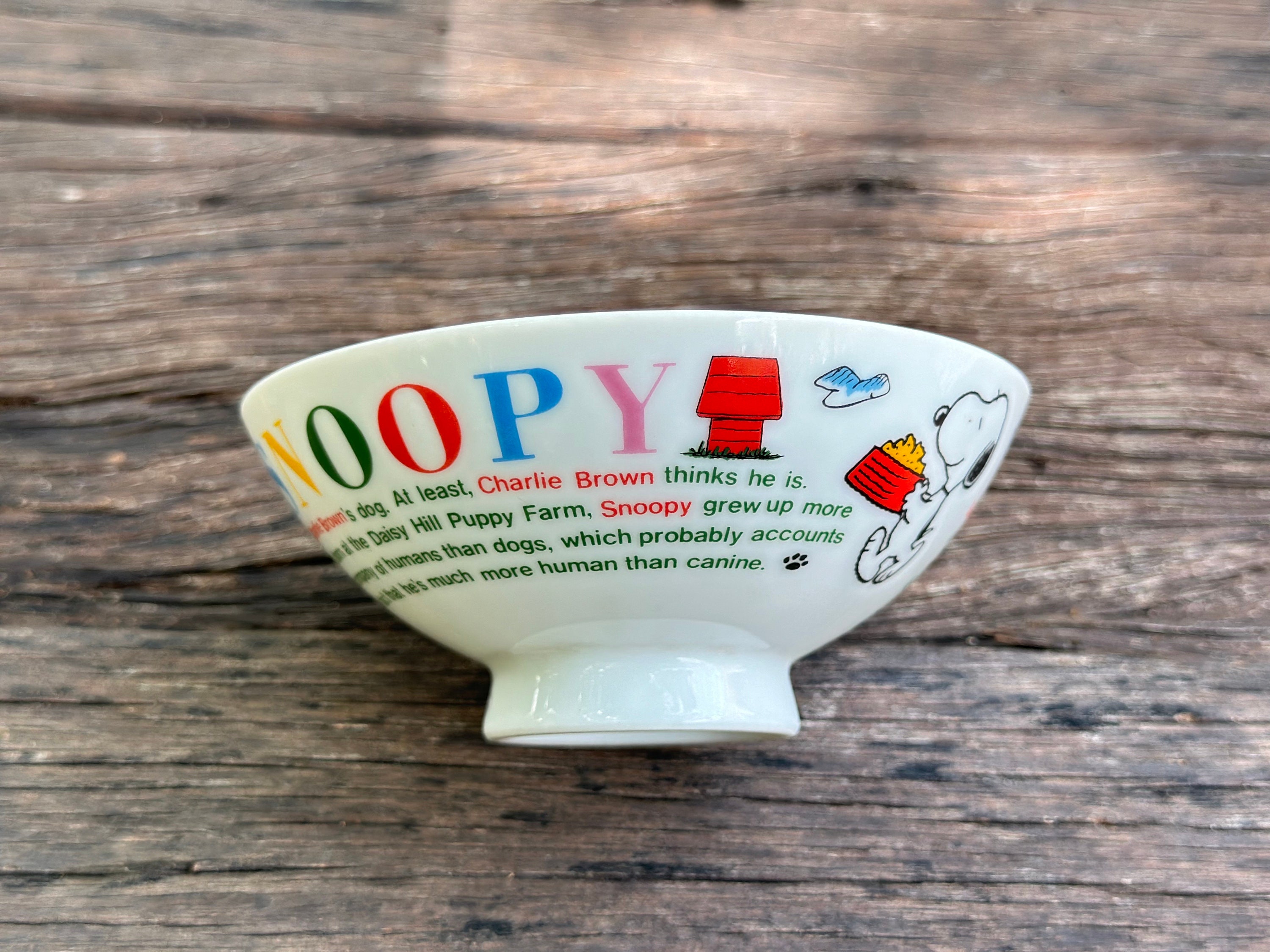 Vintage Snoopy Japanese Rice Bowl - Etsy
