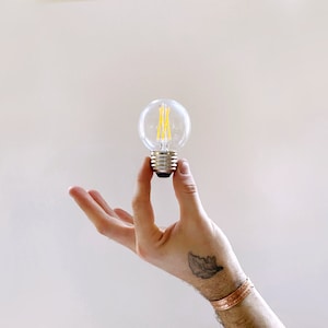 Lightbulb • LED G16.5 Bulb