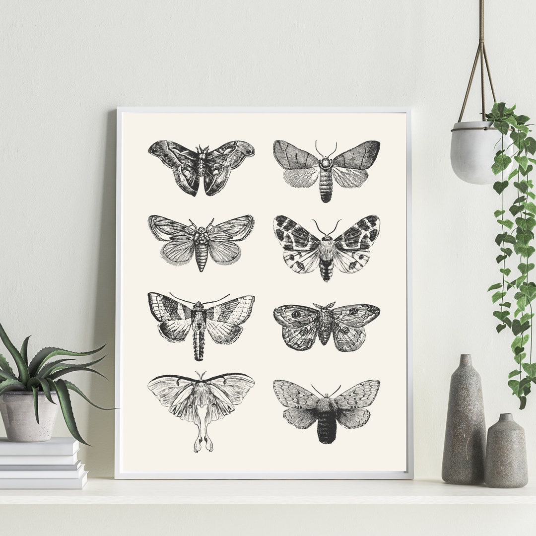 Moths Digital Download | Printable Image - Etsy