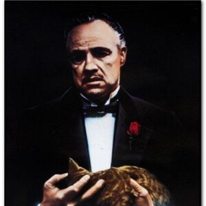 Parrain + Parrain, 2e partie - 1991 - Lot de 2 affiches originales laminées pour panneaux de porte vidéo de MARLON BRANDO et d'Al PACINO