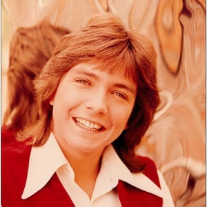 DAVID CASSIDY - Partridge Family - 8x10 Glossy Color Photo - Reproduction - Teen Heartthrob! - Photo A