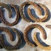 Lot of 8 Vintage Real Horse Shoes - Rusty & Crusty - Lot 1