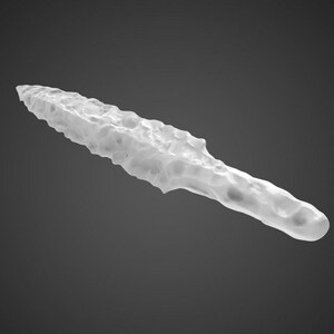 May include: A white, textured, elongated object with a pointed tip and a rounded end. The object has a rough, porous surface and appears to be made of a translucent material. The object is set against a dark grey background.