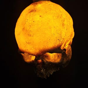 Skull lamp, skull chandelier, pendant light, hanging light, warm light, odd light, goth decor, lamp decoration, resin skull, life size