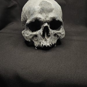 Artificial black Human skull - replica human skull, skull decor, horror decor, halloween decor, home decor, life size human skull