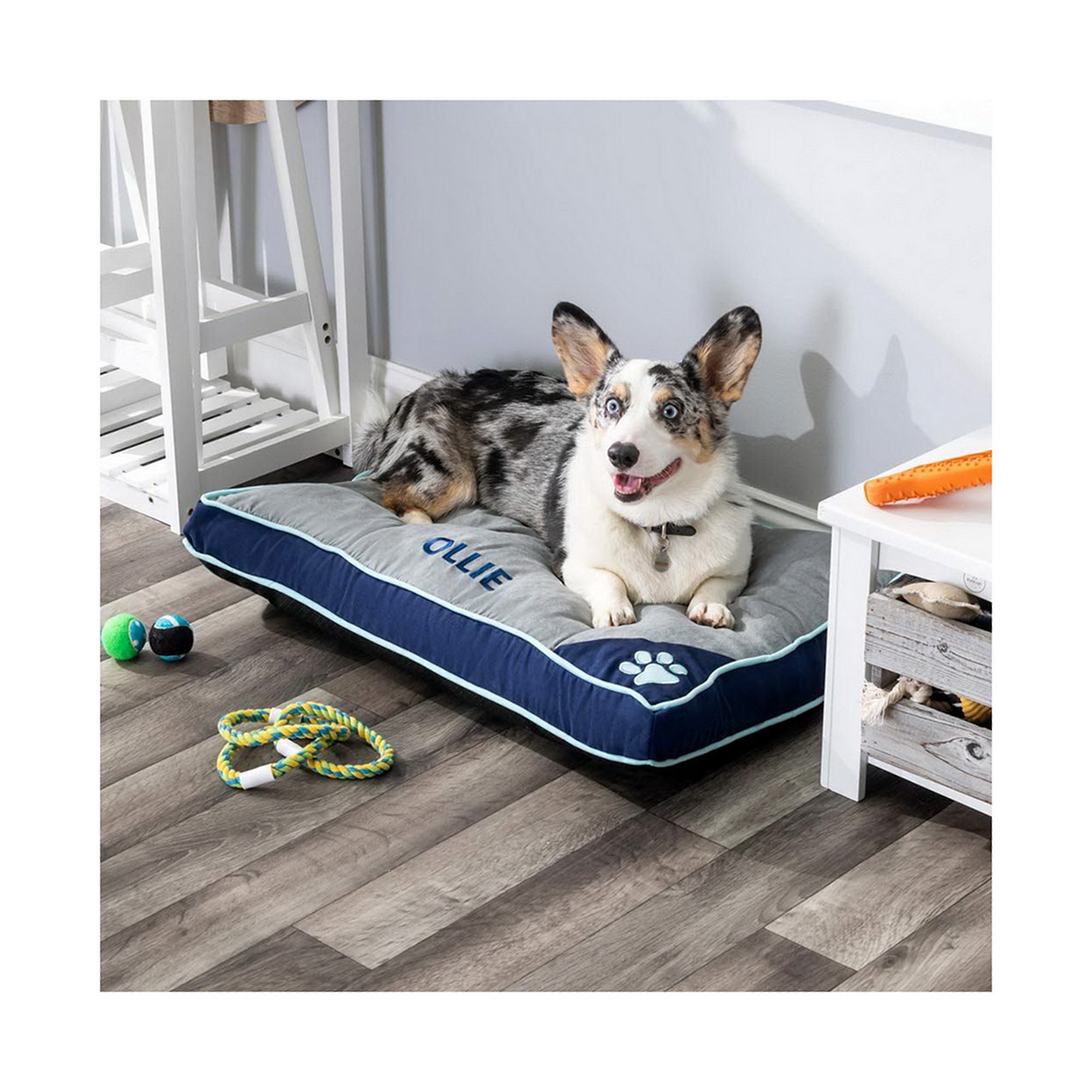 Ollies dog beds top