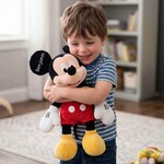 Mickey Mouse Toys