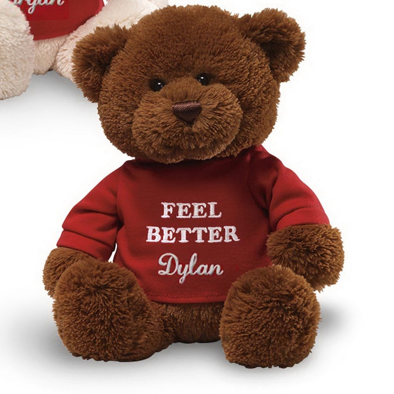 May include: Brown teddy bear wearing a red shirt with the text "Feel Better Dylan" embroidered in white.