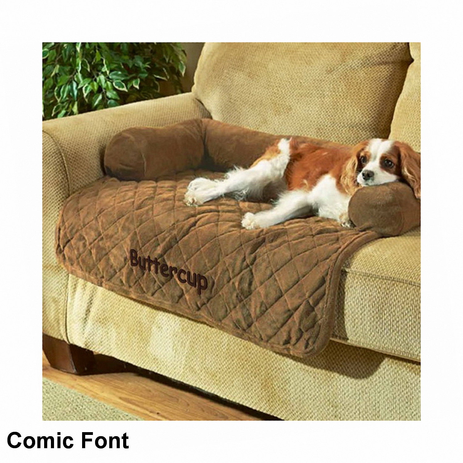 dog sofa saver