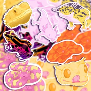 May include: A selection of vibrant reptile and amphibian stickers. Features a yellow bearded dragon, a pink axolotl, a yellow and black leopard gecko, a frog with orange and purple stripes, an orange snake, a pink and yellow snake, and a yellow gecko.