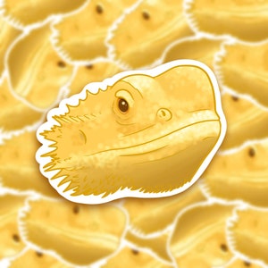 Bartdrache Sticker | Süße Sticker, Reptilien, Laptop-Aufkleber, Scrapbooking, coole Sticker, kleines Geschenk, Tierkunst, iPad Sticker