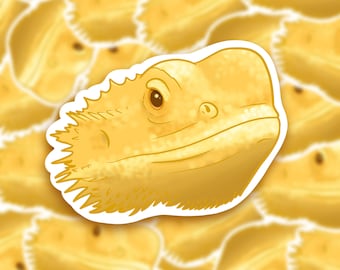 Bearded Dragon Sticker | Cute Stickers, Reptiles, Laptop Decals, Scrapbooking, Cool Sticker, Small Gift, Animal Artwork, iPad Sticker
