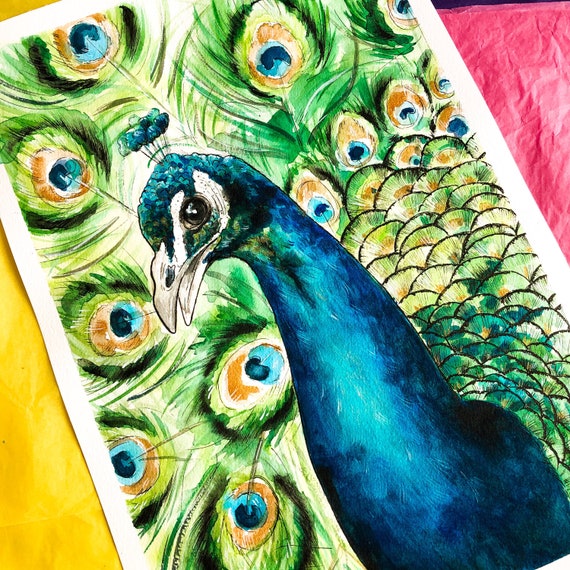 Premium Vector | Peacock and window hand drawn sketch illustration for  adult coloring book