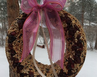 Holiday Theme Bird Seed Wreath Gift Set Of 3 Bird Seed Etsy