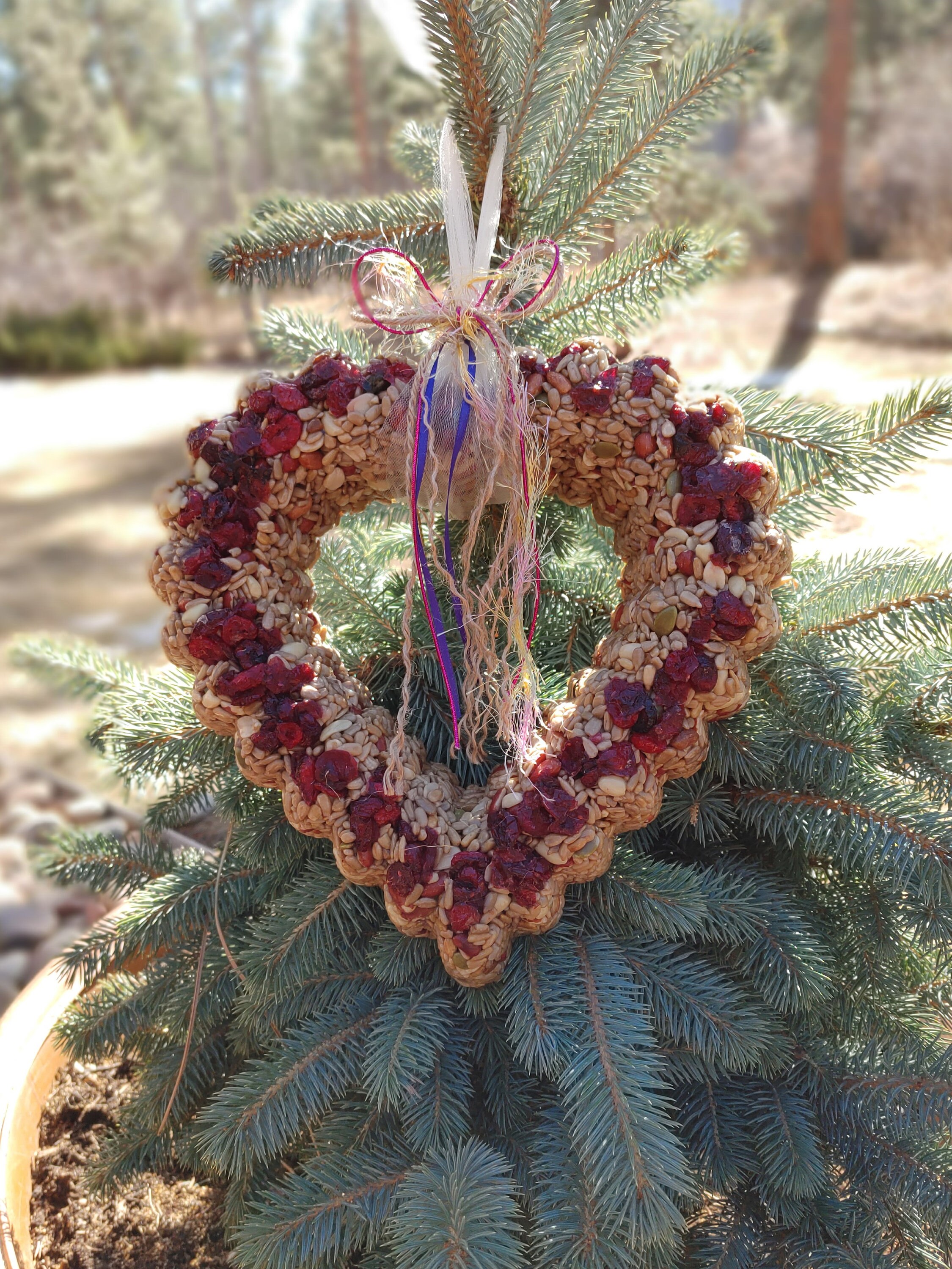 Birdseed Wreath ALL SEED MEAT Zero Waste Bird Seed Feeder | Etsy