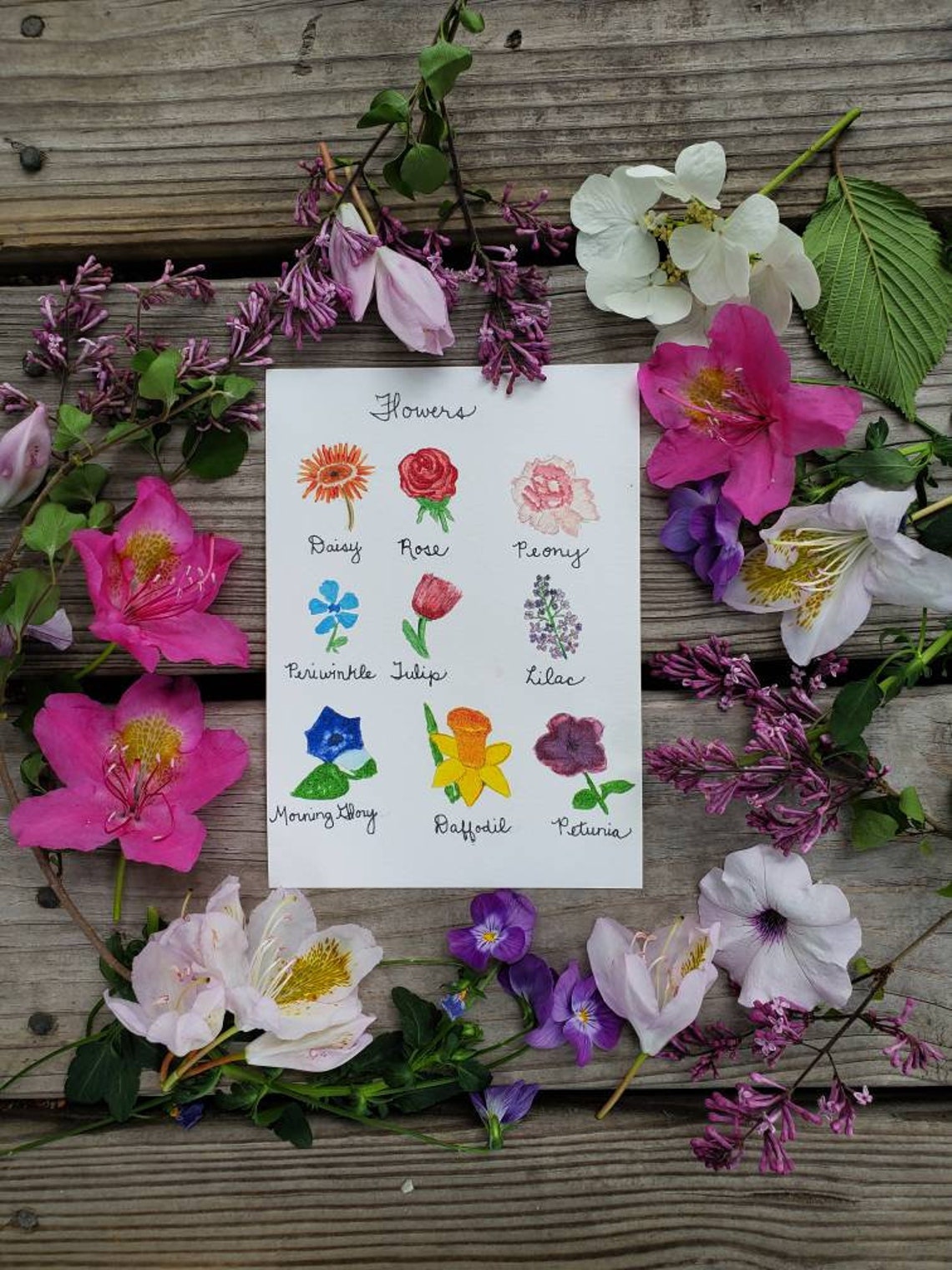 Art Print 'flower Names' 4x6 5x7 8x10 - Etsy