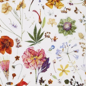Liberty Fabrics - Floral Eve Ein Liberty Tana Lawn Fabric - Liberty of London - Multi Hell - Floraler Stoff