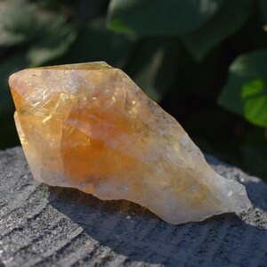 Raw Citrine Crystal Stone Chunk Piece Beautifully Gift Wrapped image 9