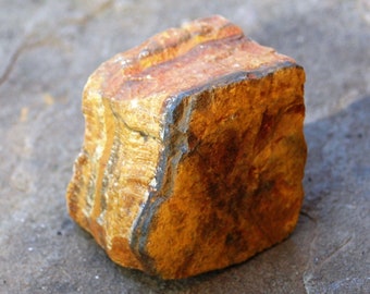 Tigerauge Einzigartige Kristall Stück 3.5 cm (Wunderschön Geschenk verpackt) - Erdungsstein