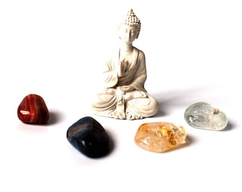 Prosperity & Abundance Crystal Tumble Stone Gift Set with Buddha (Beautifully Wrapped)