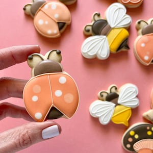 Pode incluir: Uma cole&ccedil;&atilde;o de biscoitos de a&ccedil;&uacute;car coloridos e decorados &agrave; m&atilde;o com v&aacute;rios desenhos inspirados na natureza, incluindo joaninhas, abelhas, cogumelos e uma borboleta.