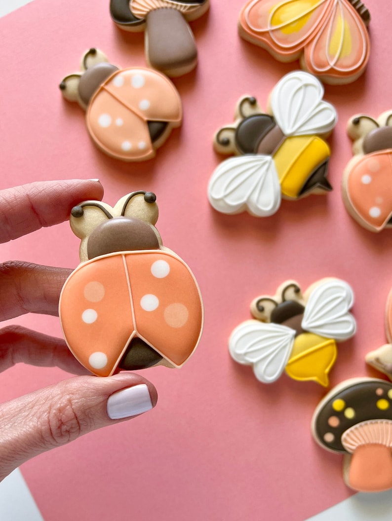 Pode incluir: Uma cole&ccedil;&atilde;o de biscoitos de a&ccedil;&uacute;car coloridos e decorados &agrave; m&atilde;o com v&aacute;rios desenhos inspirados na natureza, incluindo joaninhas, abelhas, cogumelos e uma borboleta.