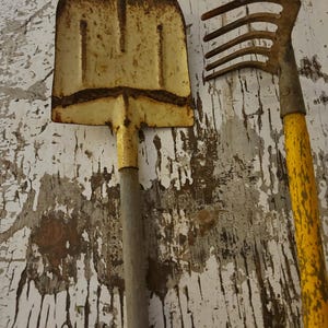 May include: A close-up of two vintage gardening tools. A yellow and rusty shovel with a long gray handle is on the left. To the right is a rake with a yellow handle. The tools are set against a distressed white background.