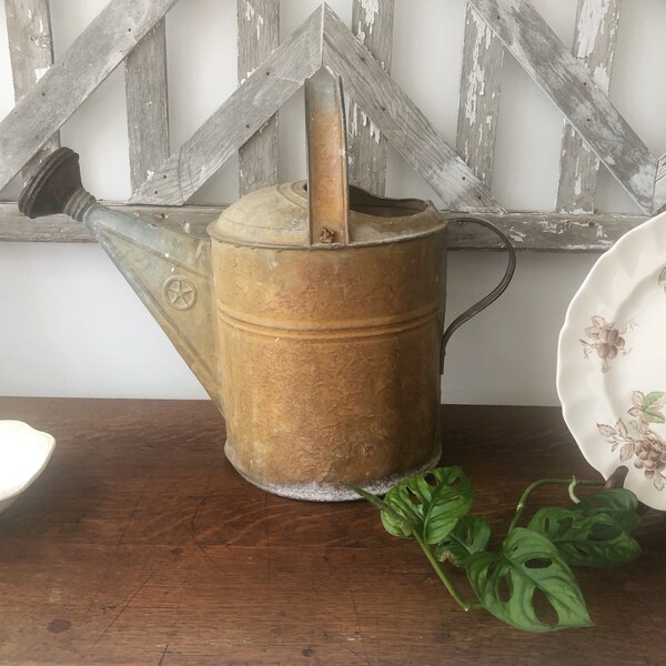 Galvanized Watering Can Etsy