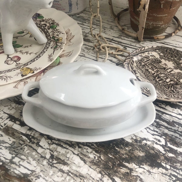 Sweet VINTAGE CHINA TUREEN + Lid + Plate  • Tiny Perfect Single Serve Tureen • Cottage Or Farmhouse Vintage Bowl !