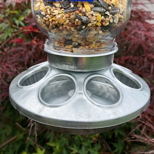 University of Kentucky Bird Feeder / Kentucky Bird Feeder image 4