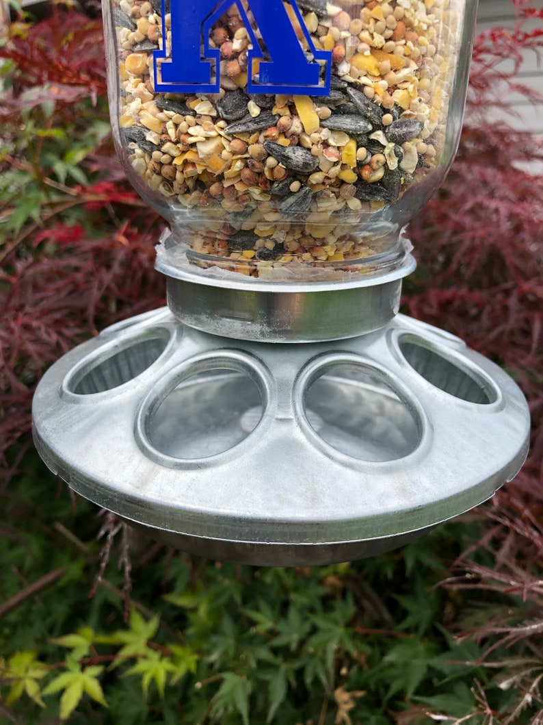 University of Kentucky Bird Feeder / Kentucky Bird Feeder image 4