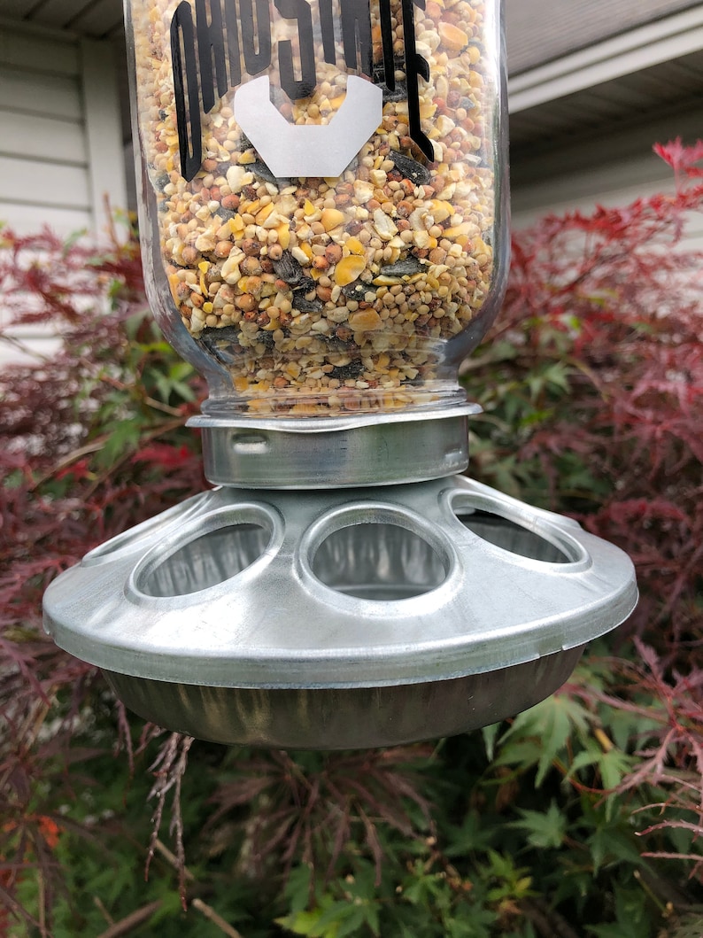 Ohio State Wild Bird Feeder Etsy