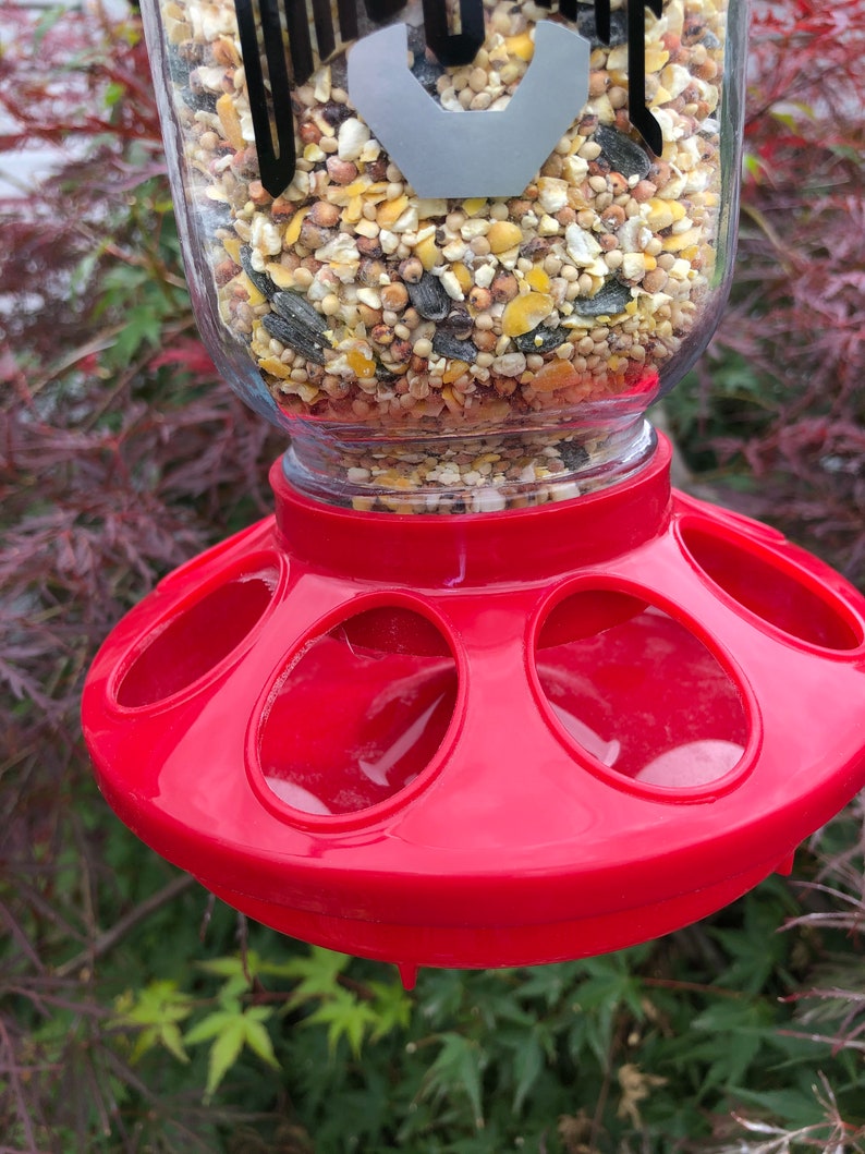 Ohio State Wild Bird Feeder Etsy